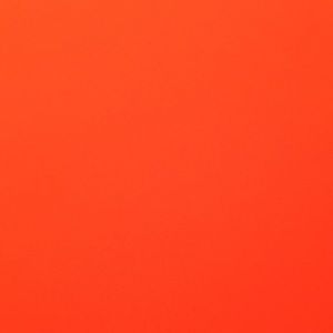 Meet your Posher, Payton